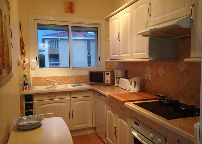 Climatise Avec Terrasses Et Vue Port, Proche Plages A - Fr-1-335-191