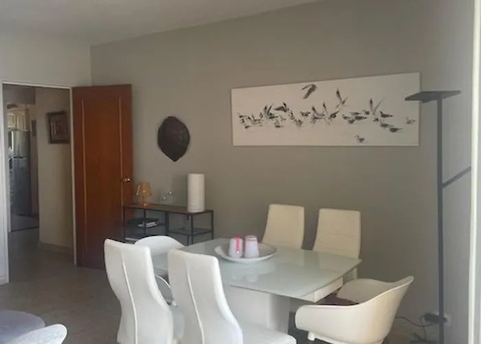 Lägenhet Climatise Avec Terrasses Et Vue Port, Proche Plages A - Fr-1-335-191 *